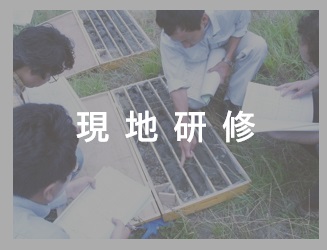現地研修